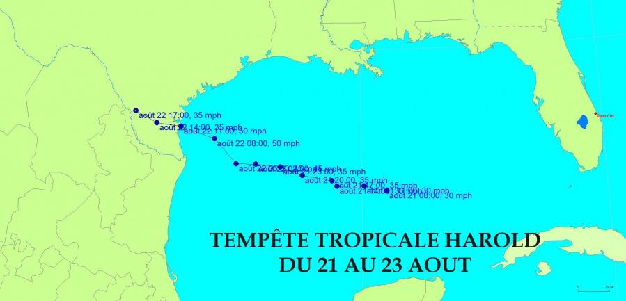 TS HAROLD 2023